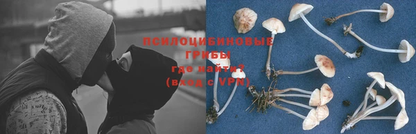 дмт Болохово